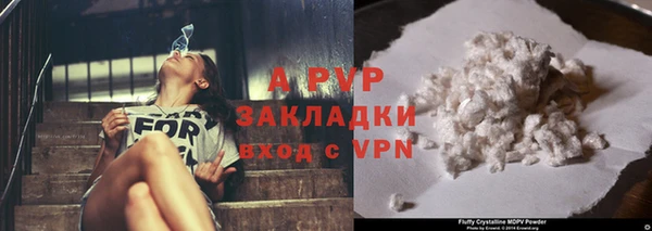 ГАЛЛЮЦИНОГЕННЫЕ ГРИБЫ Наволоки