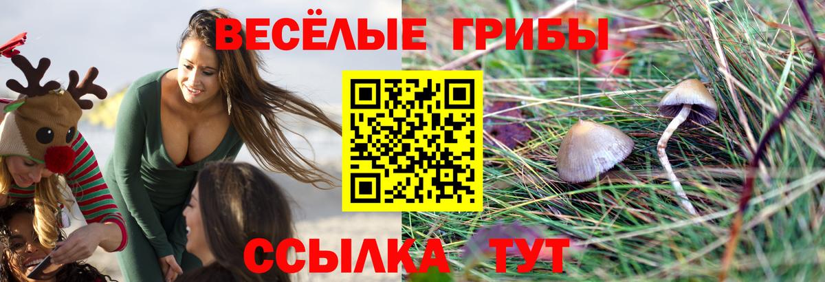 Псилоцибиновые грибы мухоморы  Вход с VPN  Тара 