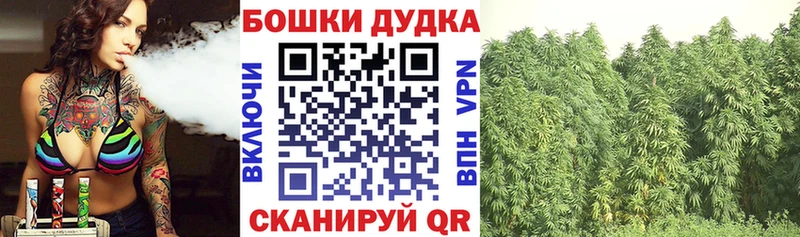 Шишки марихуана семена  Тара 